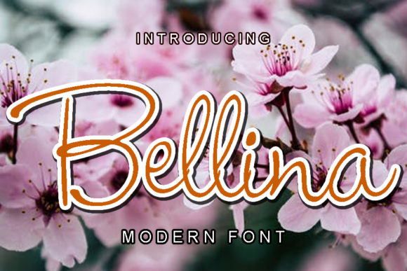 Bellina Typeface: Elevating Handmade Brand Identity
