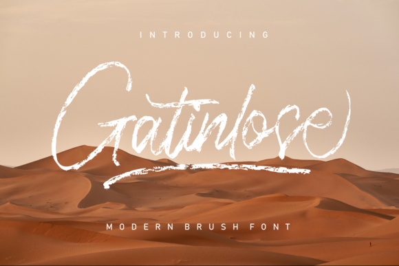 Gatinlose: Elevating Digital Brand Identity with Modern Script Typography