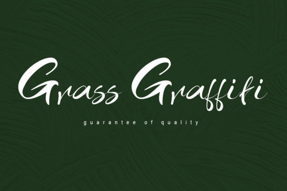 Grass Graffiti: A Chic Handwritten Typeface for Handmade Brands